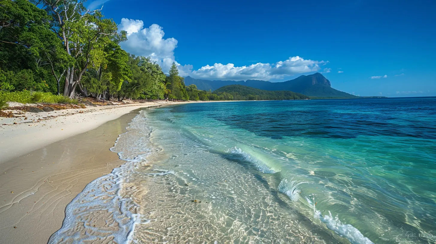 A Guide to Australia's Coastal Road Trips: From the Great Ocean Road to the Coral Coast