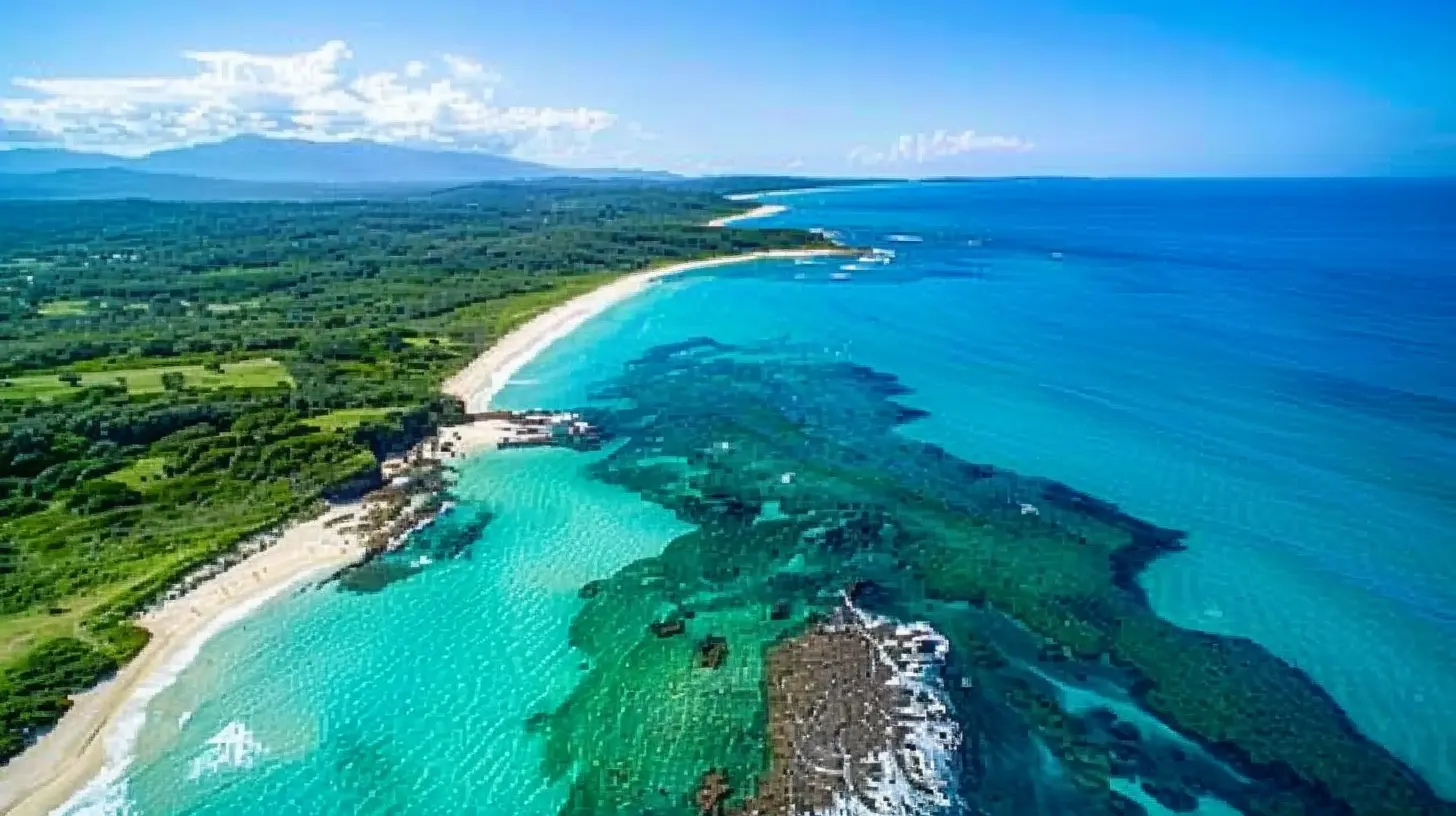 A Guide to Australia's Coastal Road Trips: From the Great Ocean Road to the Coral Coast