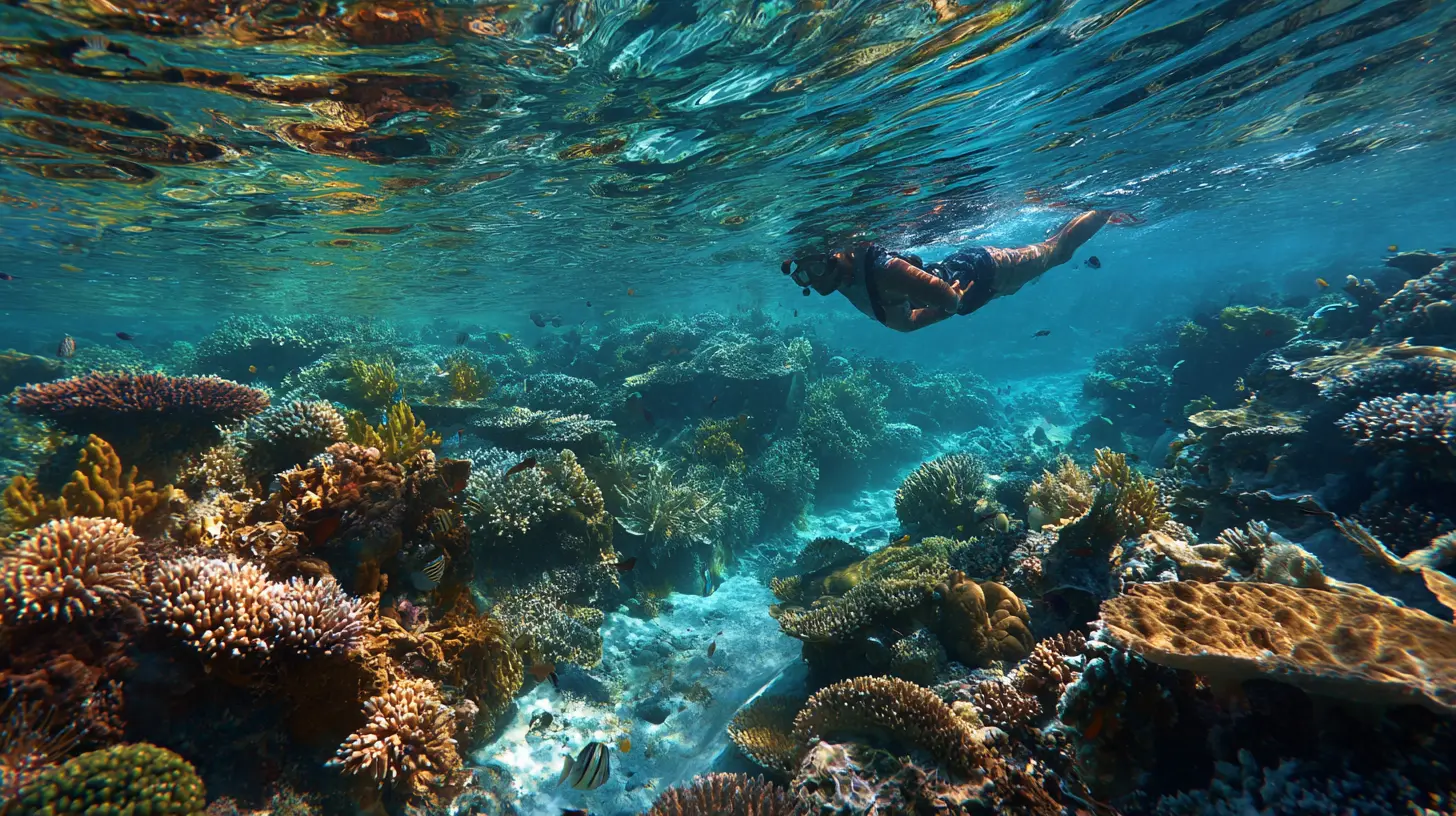 A World Beneath the Waves: Snorkeling and Freediving in Pristine Waters