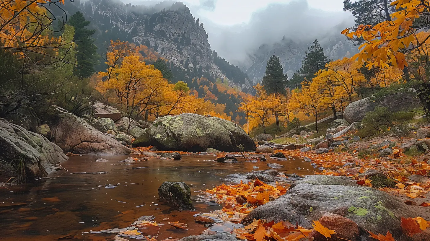 Experience the Magic of Autumn Leaves in the Mountains