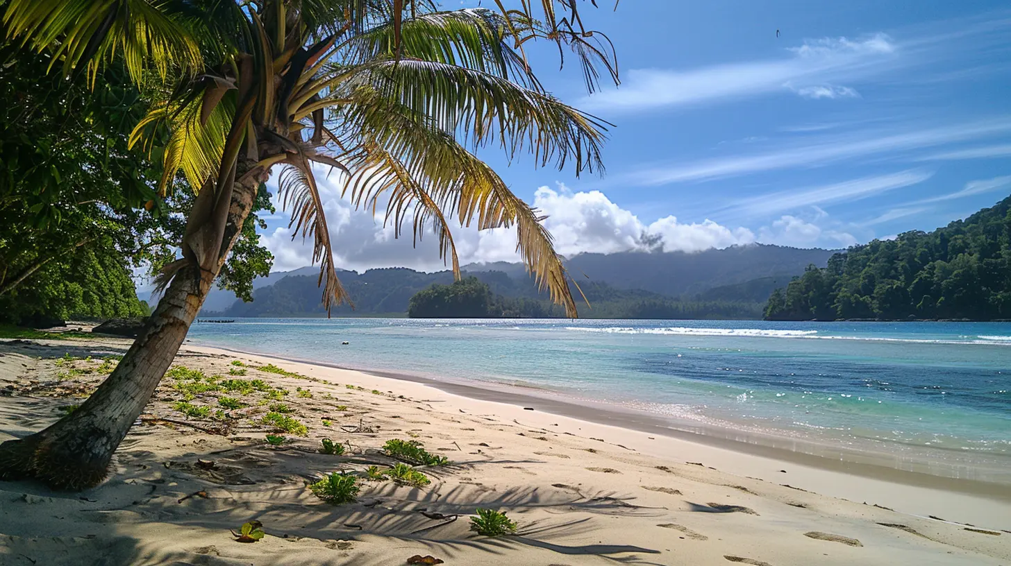 Surf, Sun, and Serenity: The Best Beach Destinations in Oceania