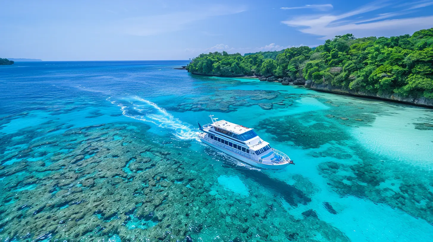 Whale Watching Season in Tonga: Everything You Need to Know