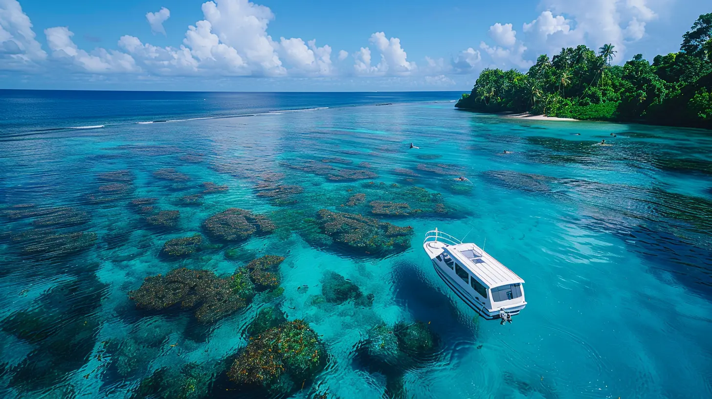 Whale Watching Season in Tonga: Everything You Need to Know