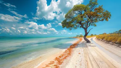 A Guide to Australia's Coastal Road Trips: From the Great Ocean Road to the Coral Coast