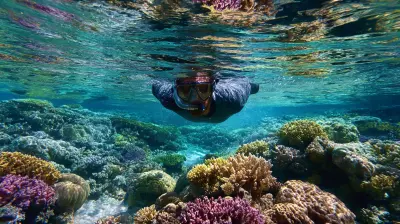 A World Beneath the Waves: Snorkeling and Freediving in Pristine Waters