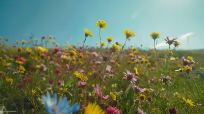 Discover Wildflowers and Wildlife in Alpine Environments