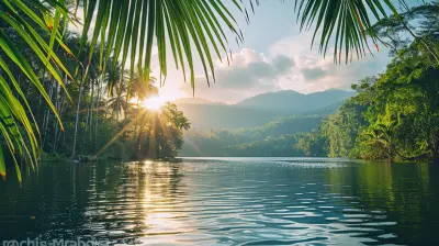 Exploring Australia's Daintree Rainforest: Where Nature Thrives