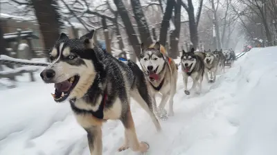The Thrill of the Arctic: Dog Sledding Over Snow-Covered Trails