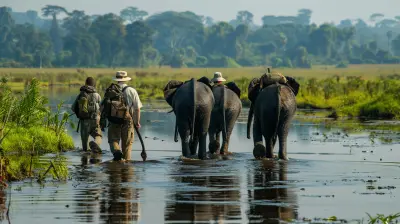 Volunteering with Wildlife: Contribute to Conservation Efforts Worldwide