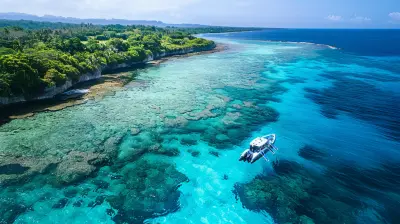 Whale Watching Season In Tonga Everything You Need To Know