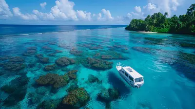 Whale Watching Season in Tonga: Everything You Need to Know