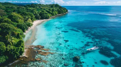 Whale Watching Season in Tonga: Everything You Need to Know