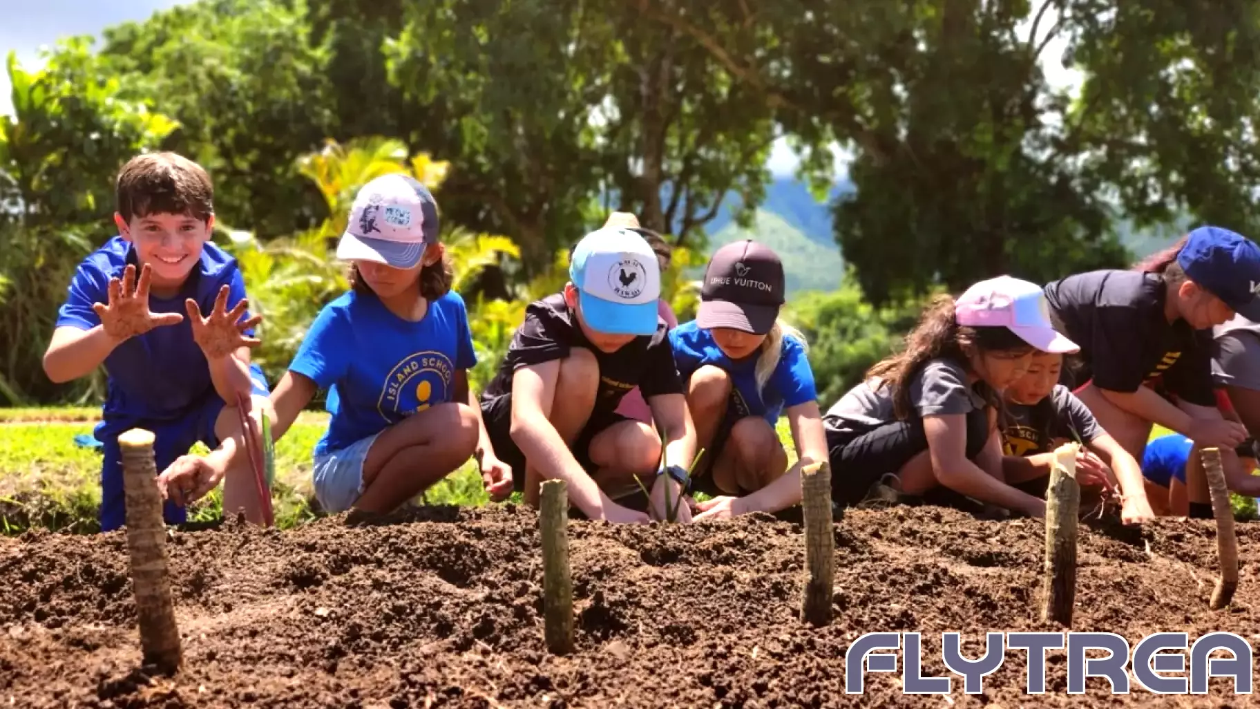 Hawaii's Innovative Climate Impact Fee to Enhance Conservation Efforts